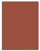 Actual product image L'Oréal Paris Matte Signature (07 Copper Signature)