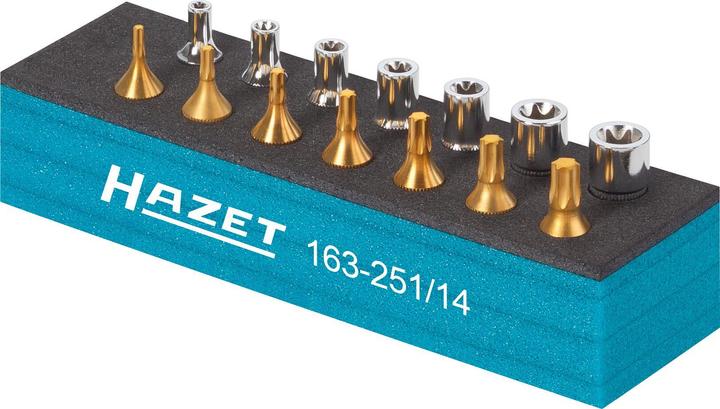 Produktbild HAZET Werkzeug Satz ∙ TORX 163-251/14 ∙ Vierkant6,3 mm (1/4 Zoll) ∙ Aussen TORX Profil, Innen TORX…