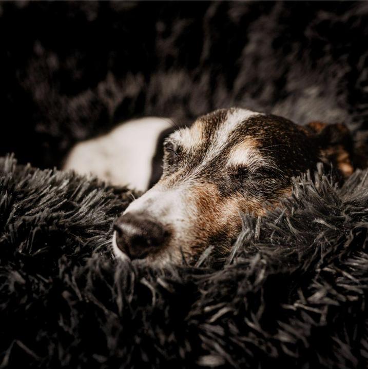 Produktbild District 70 Hundebett District70 Flaum Donut (Hund, Katze)