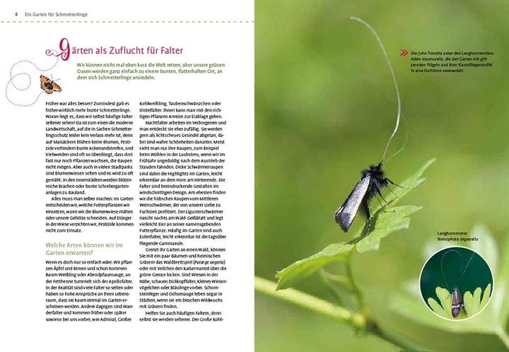 Immagine prodotto Mein Schmetterlingsgarten (Tedesco, Elke Schwarzer, 2022)