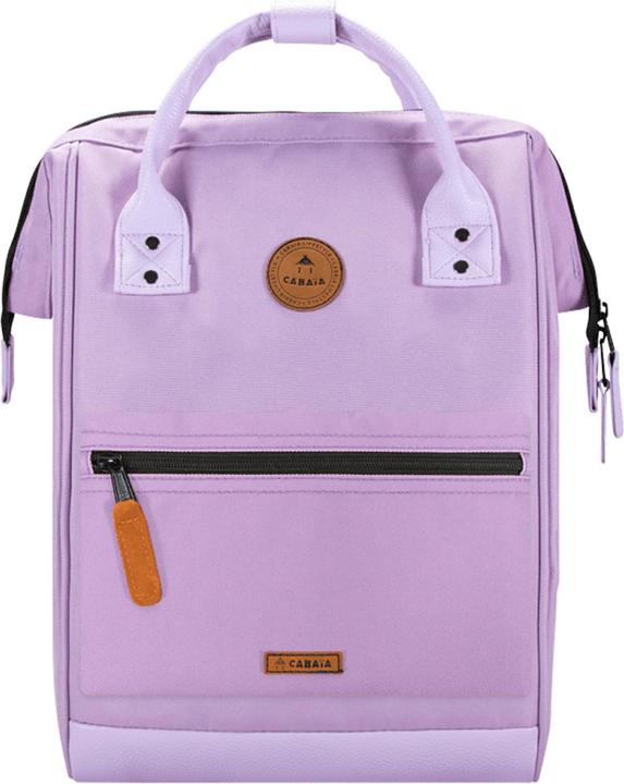 Jaipur Lila