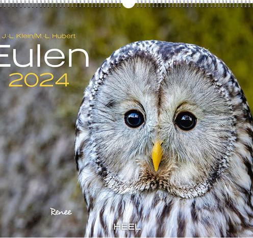Produktbild Eulen (48 x 33.5 cm, Kein Einband, Deutsch)
