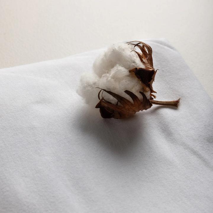 Produktbild Sebra Jersey (70 x 160 cm)