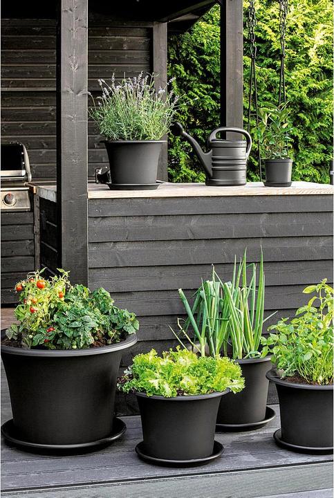 Produktbild Orthex Pflanztopf 'Botanica' (60 cm)