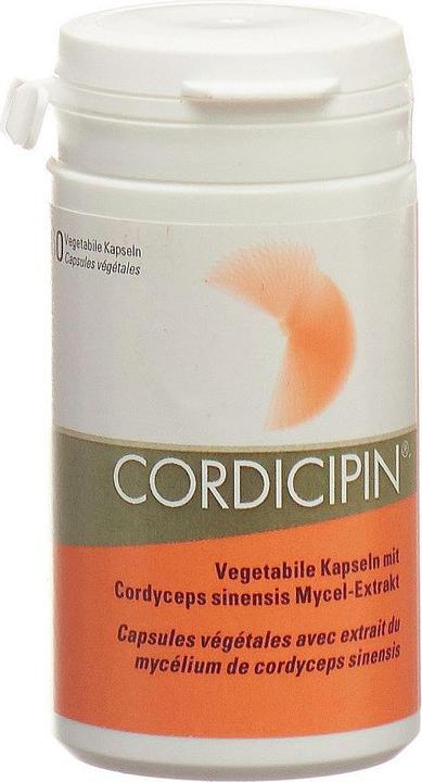 Actual product image Gamu Vital mushroom extract capsule (60 Piece, Capsules, 40 g)