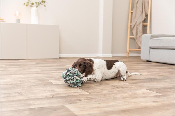 Actual product image Trixie Dog Activity Sniffing Ball (Intelligence toy dog)