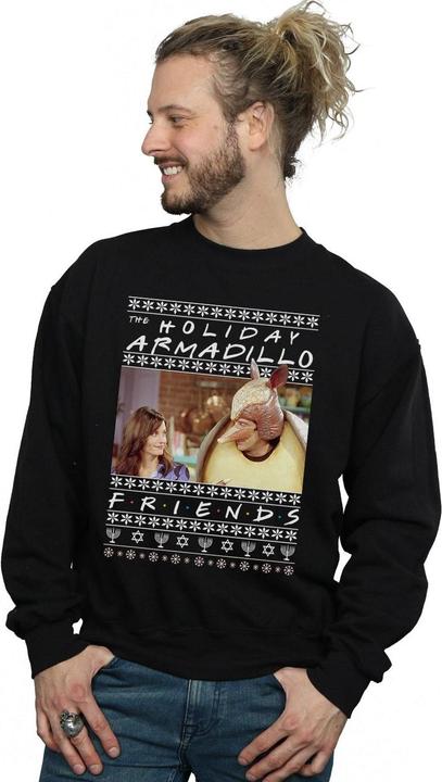 Image du produit Friends - Sweat FAIR ISLE HOLIDAY ARMADILLO - Homme (M)