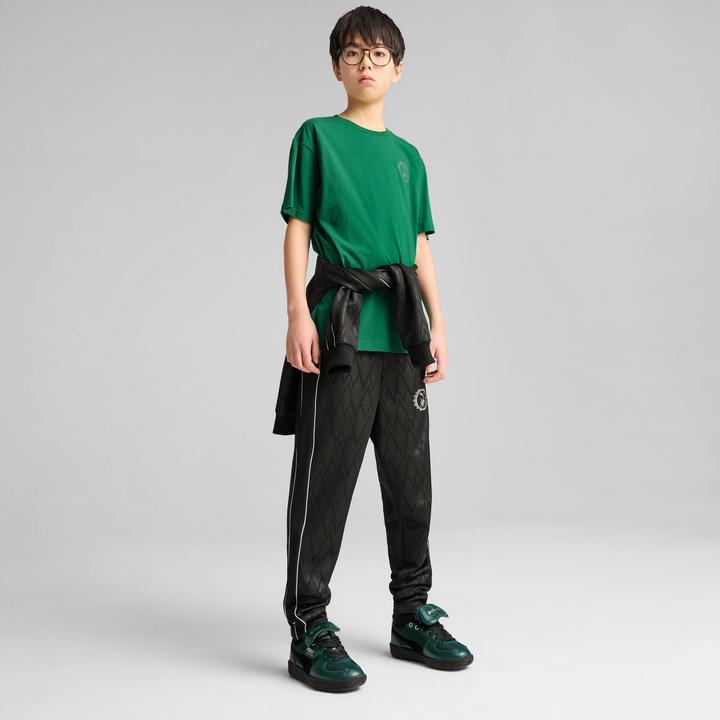 Immagine prodotto Puma X HARRY POTTER - Maglietta grafica rilassata (176)