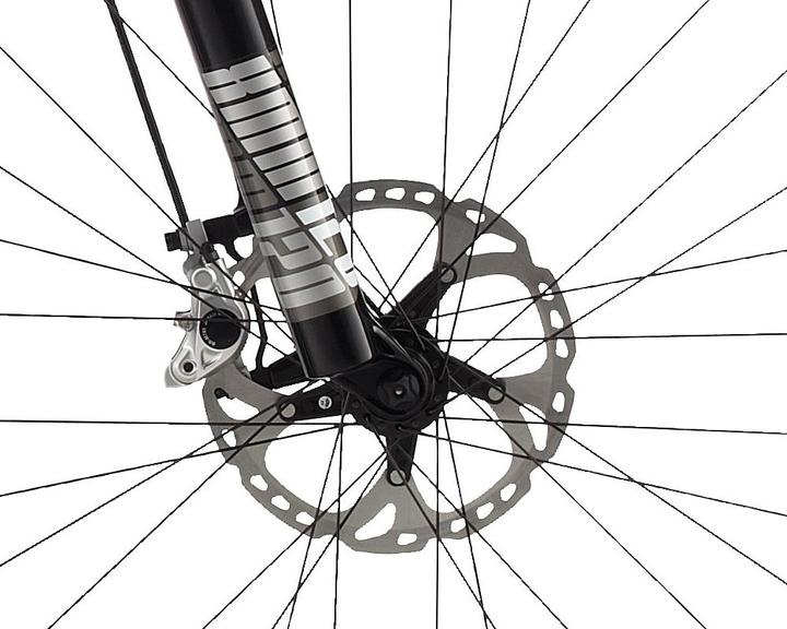 Actual product image Wheeler Falcon 10 (51 cm)
