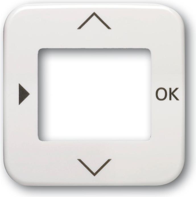 Actual product image Busch-Jaeger Central disk