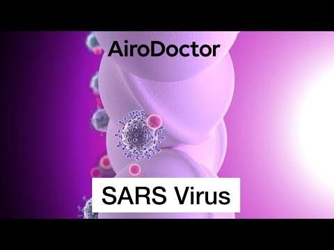 Actual product image AiroDoctor Air purifier WAD-M20 (200 m²)