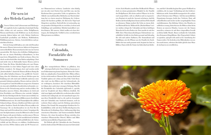 Produktbild Das Wissen der Weleda Gärtner (Deutsch, Verlag Eugen Ulmer, 2019)