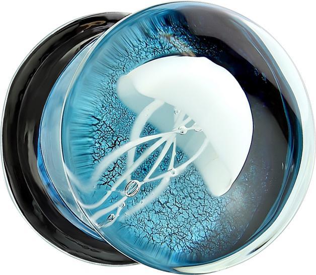 Actual product image Star Piercing Glass Flared Plug Jellyfish (without brass, Glass)