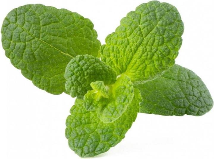 Produktbild Click and Grow Apfelminze (Kräutersamen)