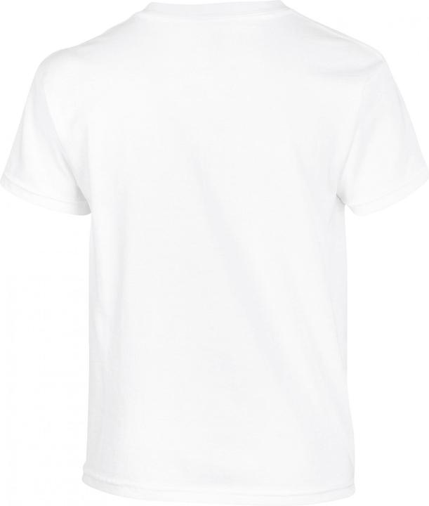Immagine prodotto Gildan Heavy (12XL)