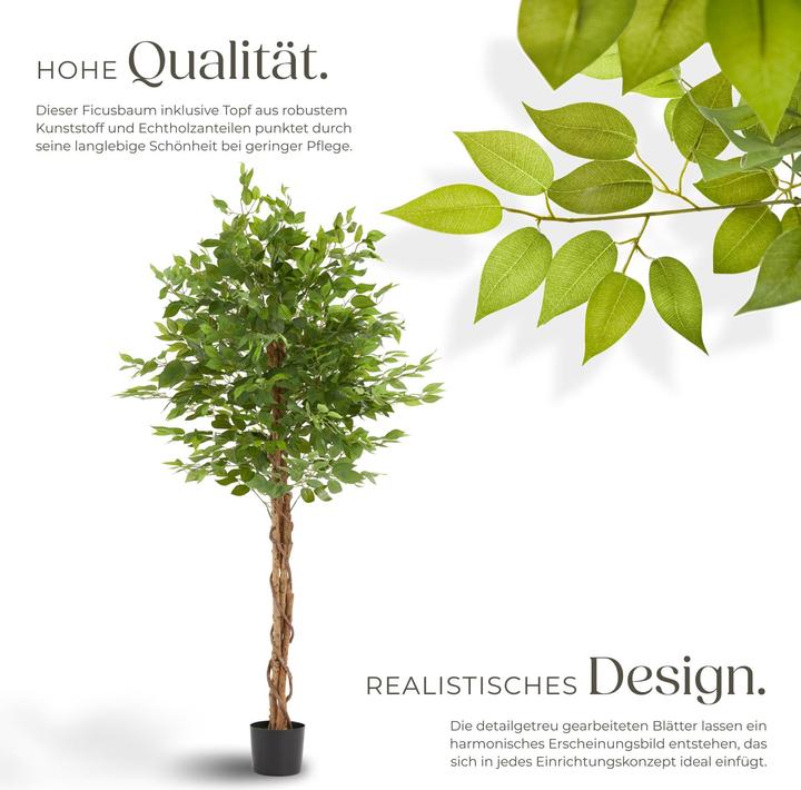 Produktbild tectake Ficusbaum Fida (180 cm)