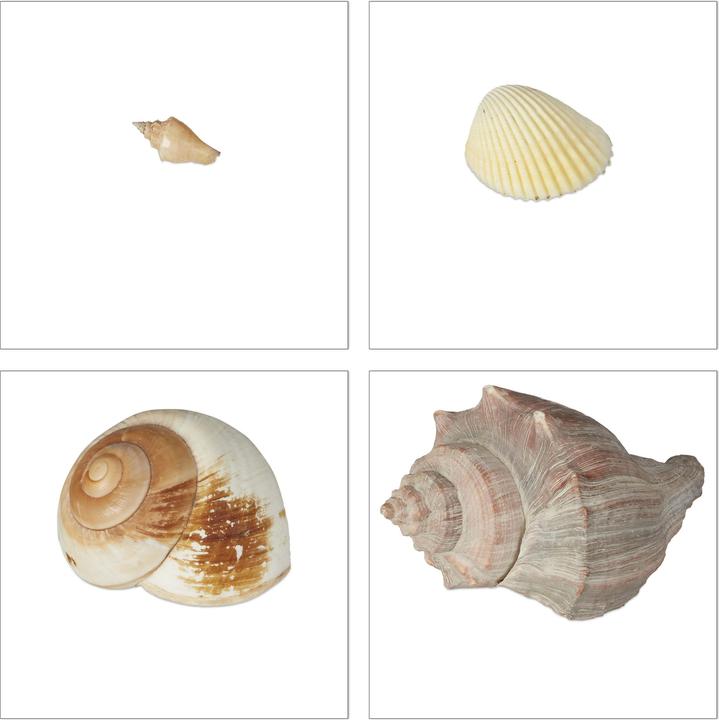 Productafbeelding Relaxdays Schelpversiering (20 x 20 x 15 cm)