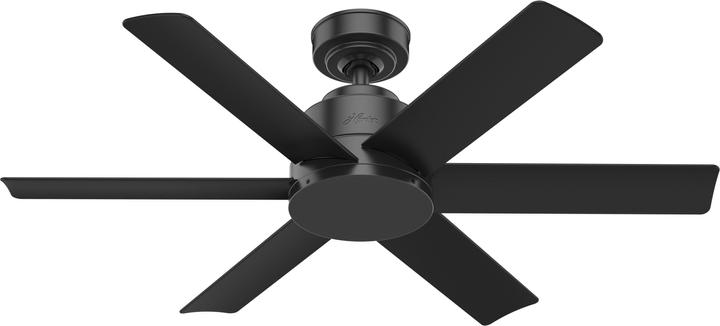 Hunter Fans Deckenventilator Kennicott Schwarz 112 cm (41.20 dB)