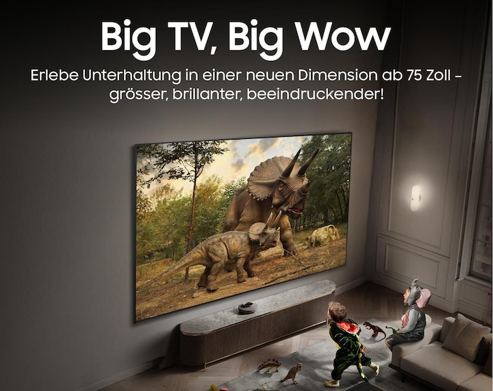 Image du produit Samsung QE85QN990F (85", QN990F, NeoQLED, Mini-LED, 8K, 2025)