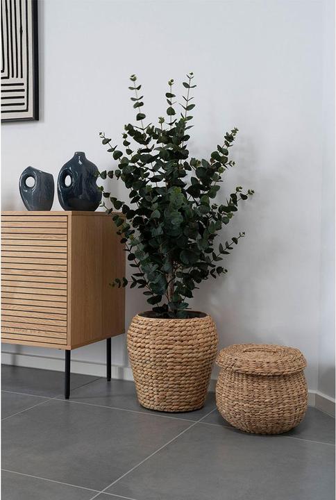 Actual product image House Nordic Eucalyptus (120 cm)