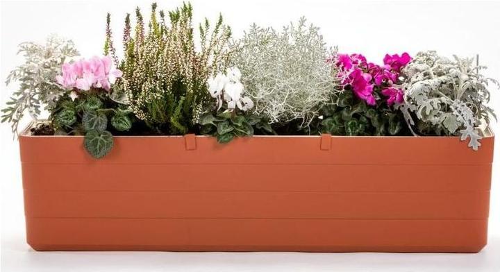 Actual product image Plastia Berberis (20 x 59 x 19.70 cm)