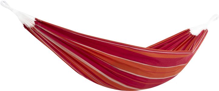 Actual product image Vivere mimosa (205 kg)