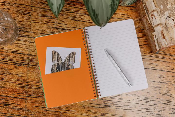 Image du produit Clairefontaine Animalis, Carnet reliure intégrale A5 14,8x21 cm, 120 pages, ligné, 3 intercalaires avec 6 poches, a (A5)