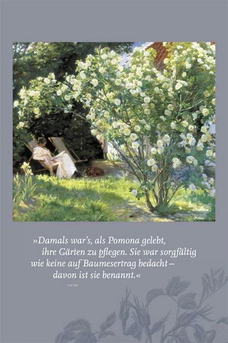 Produktbild Die Damen mit dem grünen Daumen (Deutsch, Claudia Lanfranconi, Sabine Frank, 2013)