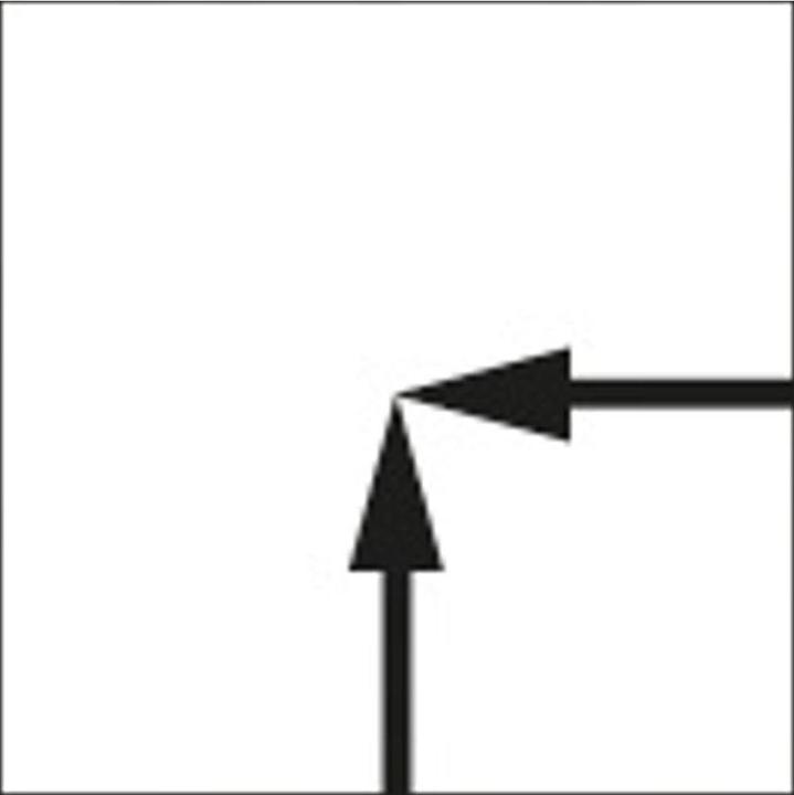 Produktbild Erdi Amerikaner-Schere D146-200 D14 (20 cm)
