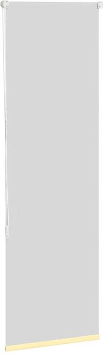 Actual product image vidaXL Marnin (60 x 150 cm)