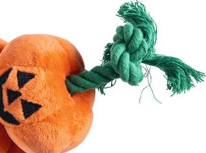 Immagine prodotto Beeztees Halloween Giftflasche (Cane di peluche)