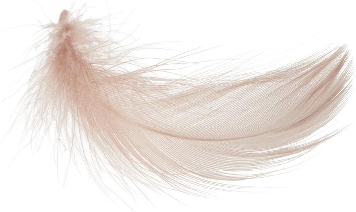 Actual product image VBS Goose feathers, 20 g