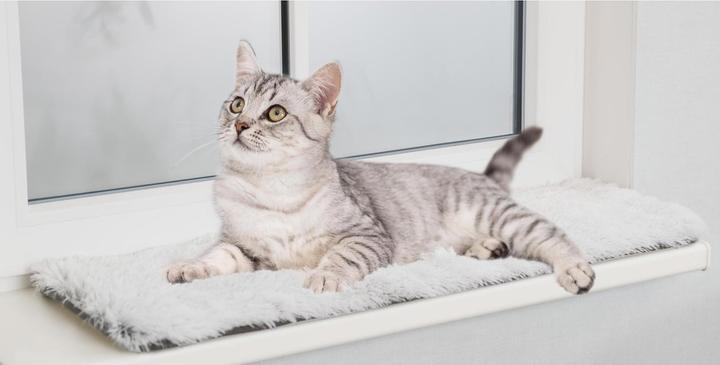Actual product image Trixie Harvey (Cat)