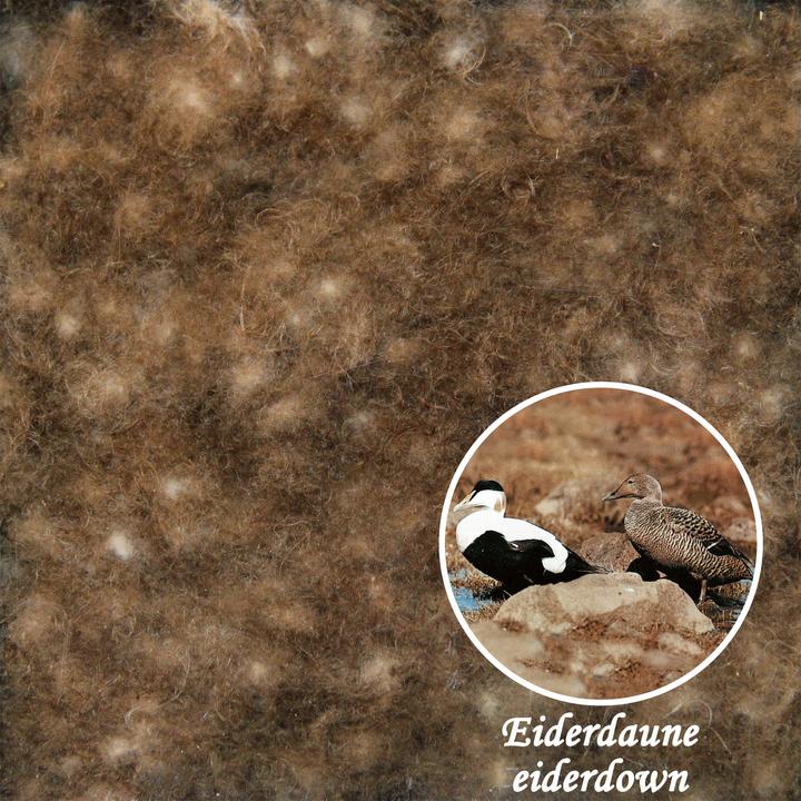 Actual product image Erwin Müller Kopenhagen (1620 g, 240 x 220 cm)