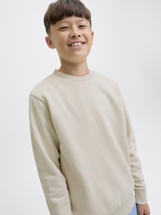 Produktbild Jack & Jones Gedruckt Sweatshirt Junior Sweatshirt (152)