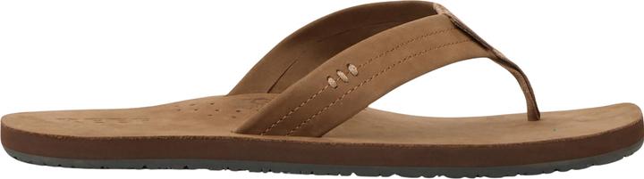 Image du produit Reef Draftsmen (46)