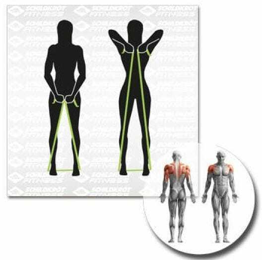 Produktbild Schildkröt Fitnessbänder (2 m, Leicht, Mittel)
