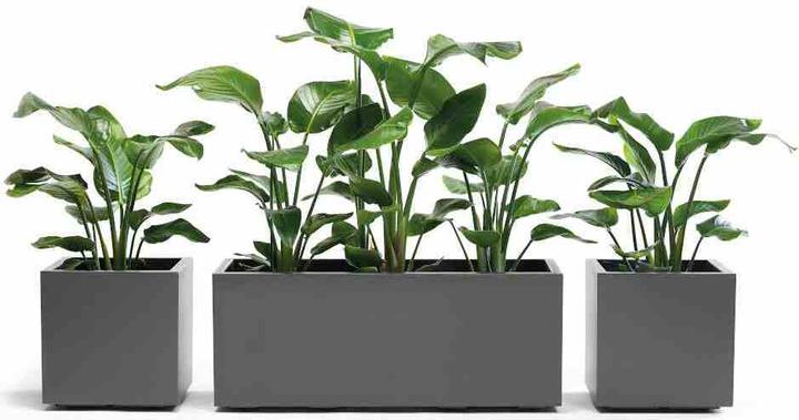 Produktbild Euro3plast Pflanzkübel (39.50 cm)