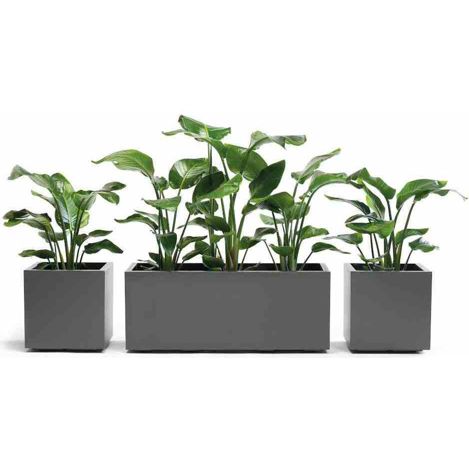 Euro3plast, Blumentopf, Pflanzkübel (39.50 cm)