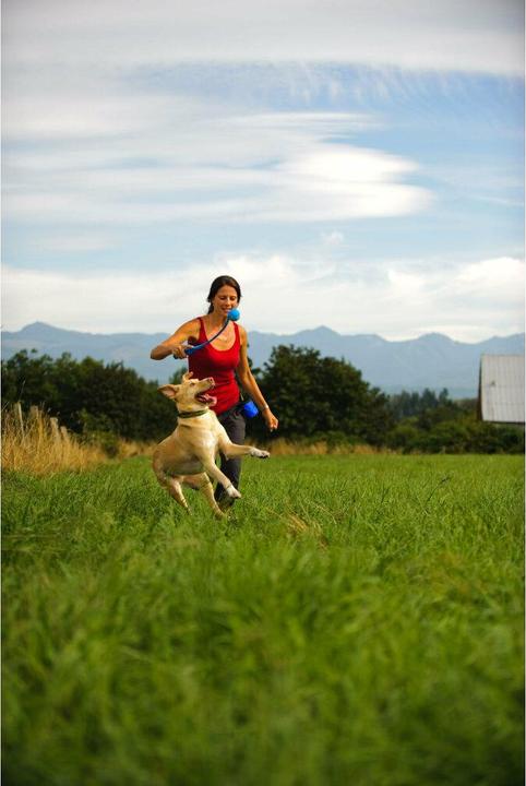 Immagine prodotto Chuckit! SCACCO! Palla per cani Whistler M - Palla per cani - 2 pezzi (Gioco da masticare per cani)