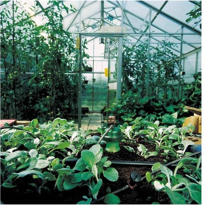 Produktbild Blumat Verteiltropfer (Tropfbewässerung Tropfer)