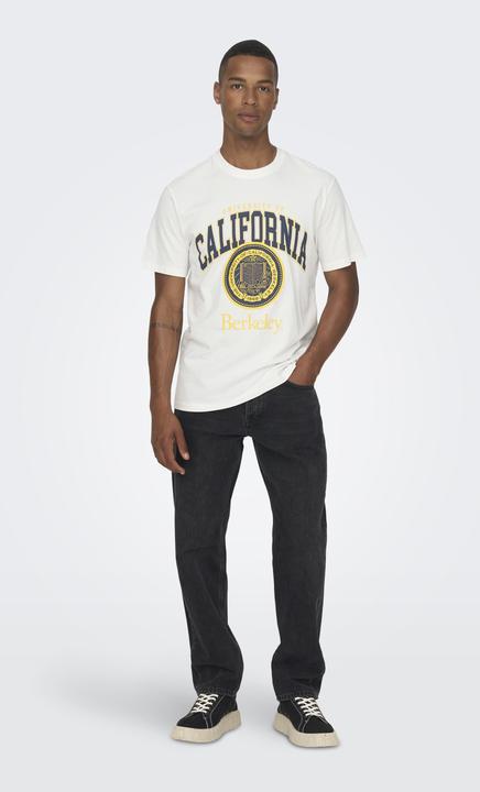 Produktbild Only & Sons Print T-Shirt (S)