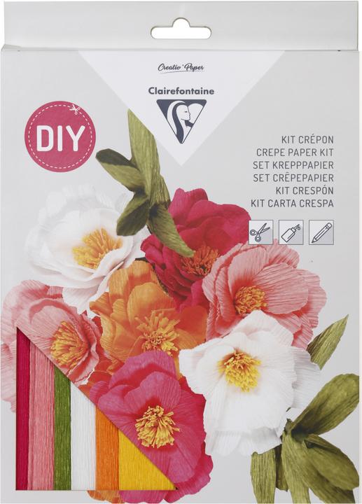 Actual product image Clairefontaine Creative kits