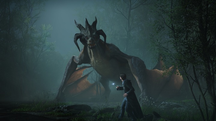 Actual product image WB Hogwarts Legacy (PS5, EN)