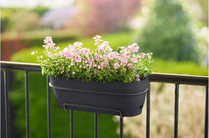 Produktbild Elho Vibia Campana Allin1 (26 cm)