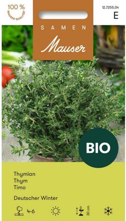 Produktbild Samen Mauser BIO Thymian Deutscher Winter (Kräutersamen)