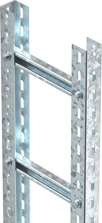 Image du produit OBO Bettermann BETTERMANN SLM50C40F 30 FT (300 cm)