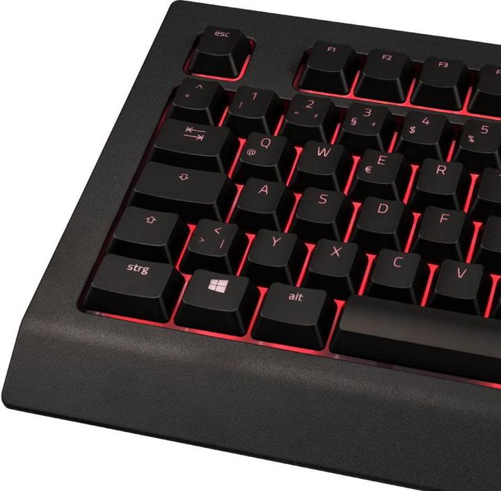 Produktbild Razer Cynosa V2 (Deutschland, Kabelgebunden)