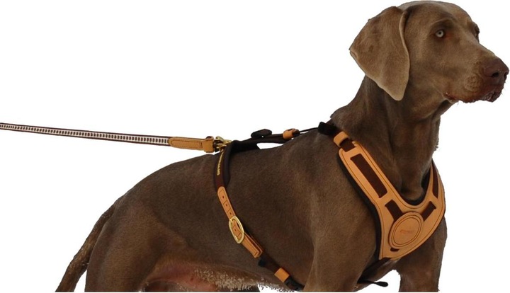 Actual product image Niggeloh Leash for MANTRAILING harness (One size, Dog, General)