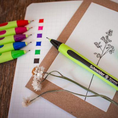 Produktbild Schneider 6 Xpress Fineliner farbsortiert 0,8 mm (Mehrfarbig, 6 x)